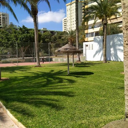 Estudio Paraiso Aguadulce  Dış mekan fotoğraf